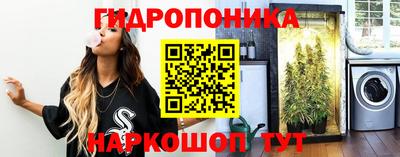 a pvp Кулебаки