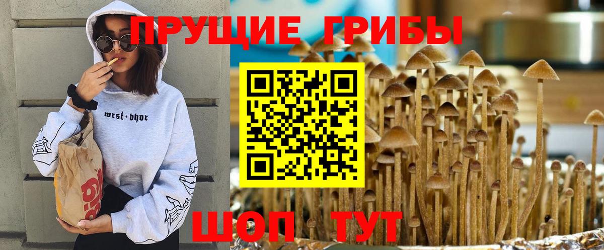 Канаш  Галлюциногенные грибы ЛСД  Вход с VPN 